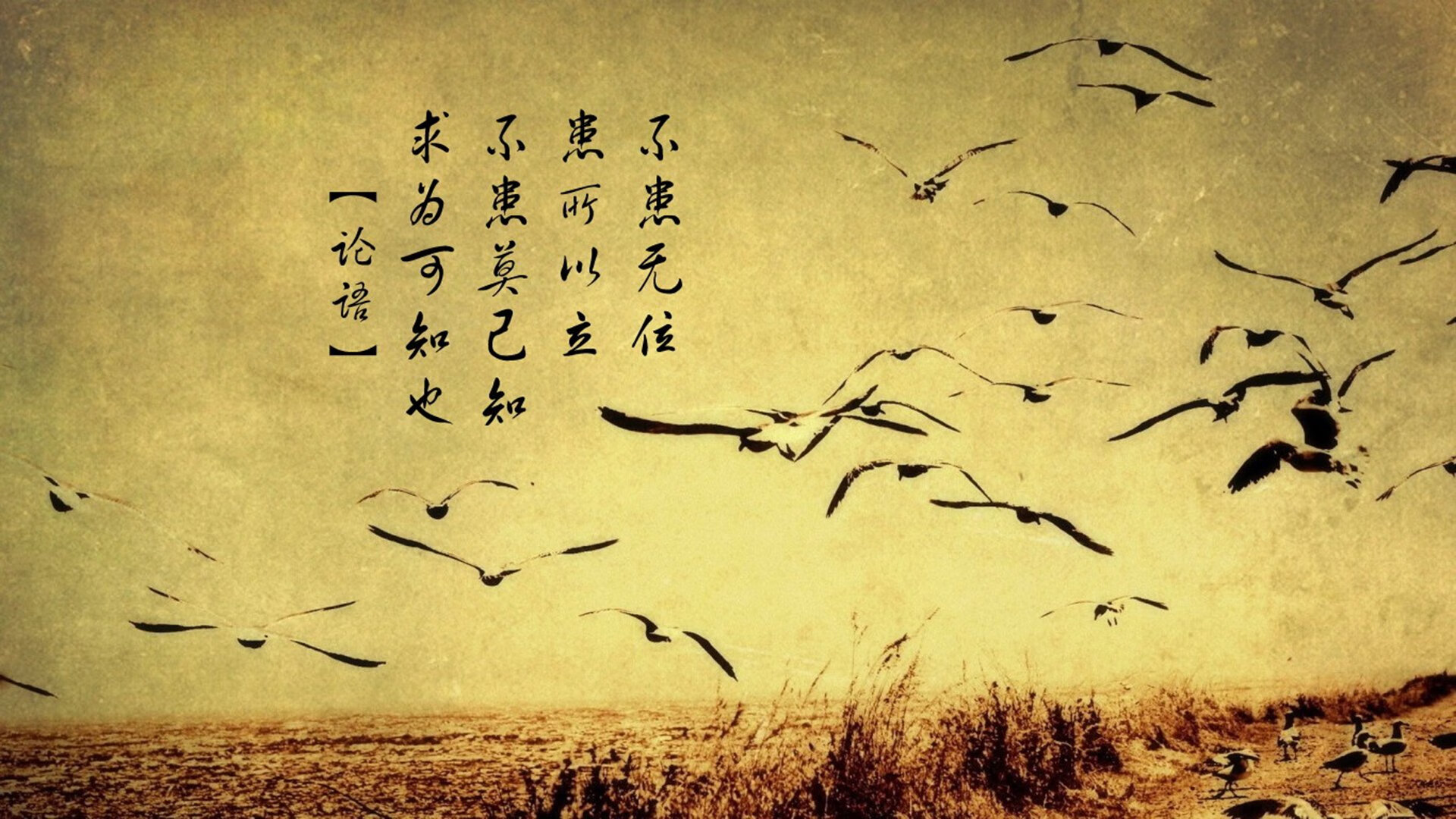 im电竞网页版-“明星私生活：场外趣味爱好全揭秘”，明星私下日常生活