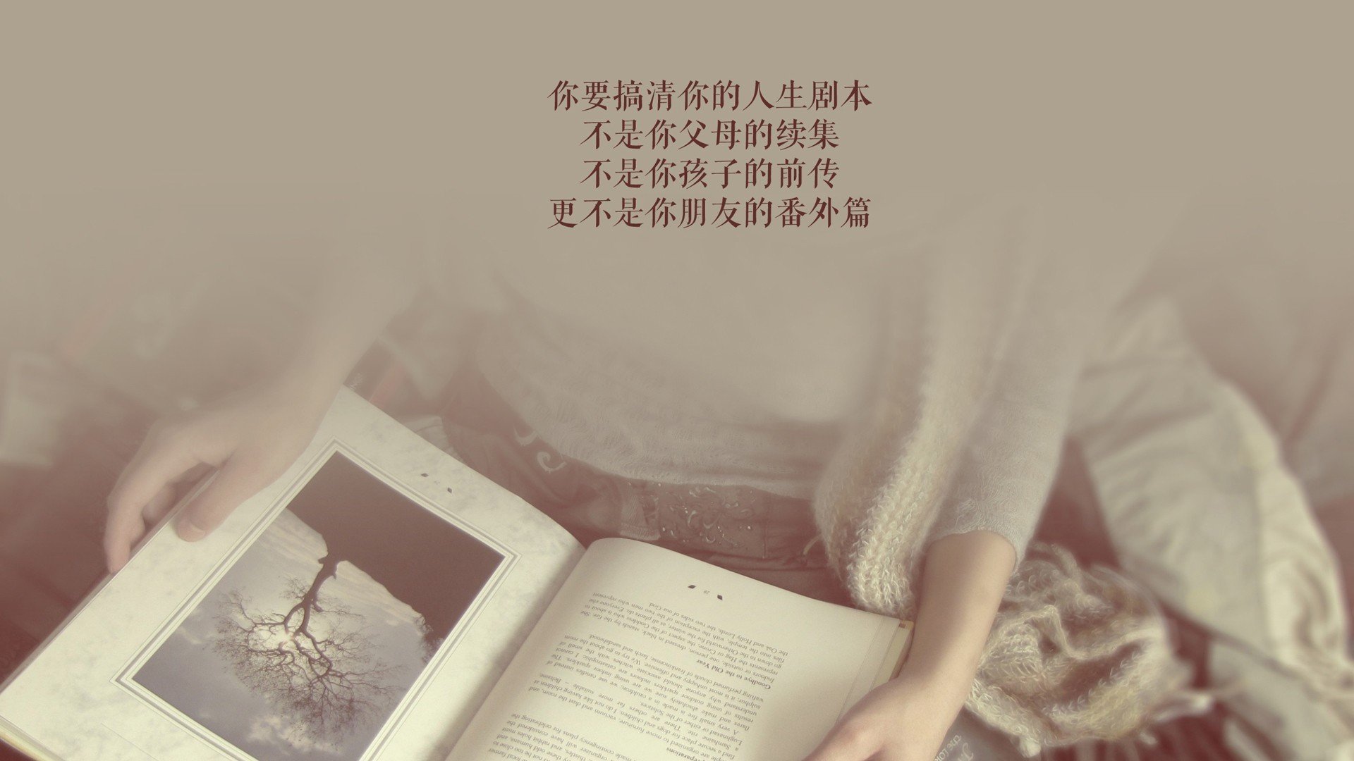 im体育官网-摩洛哥马术协会授予哈立德·阿卜杜拉“年度最佳盛装舞步骑手”称号。