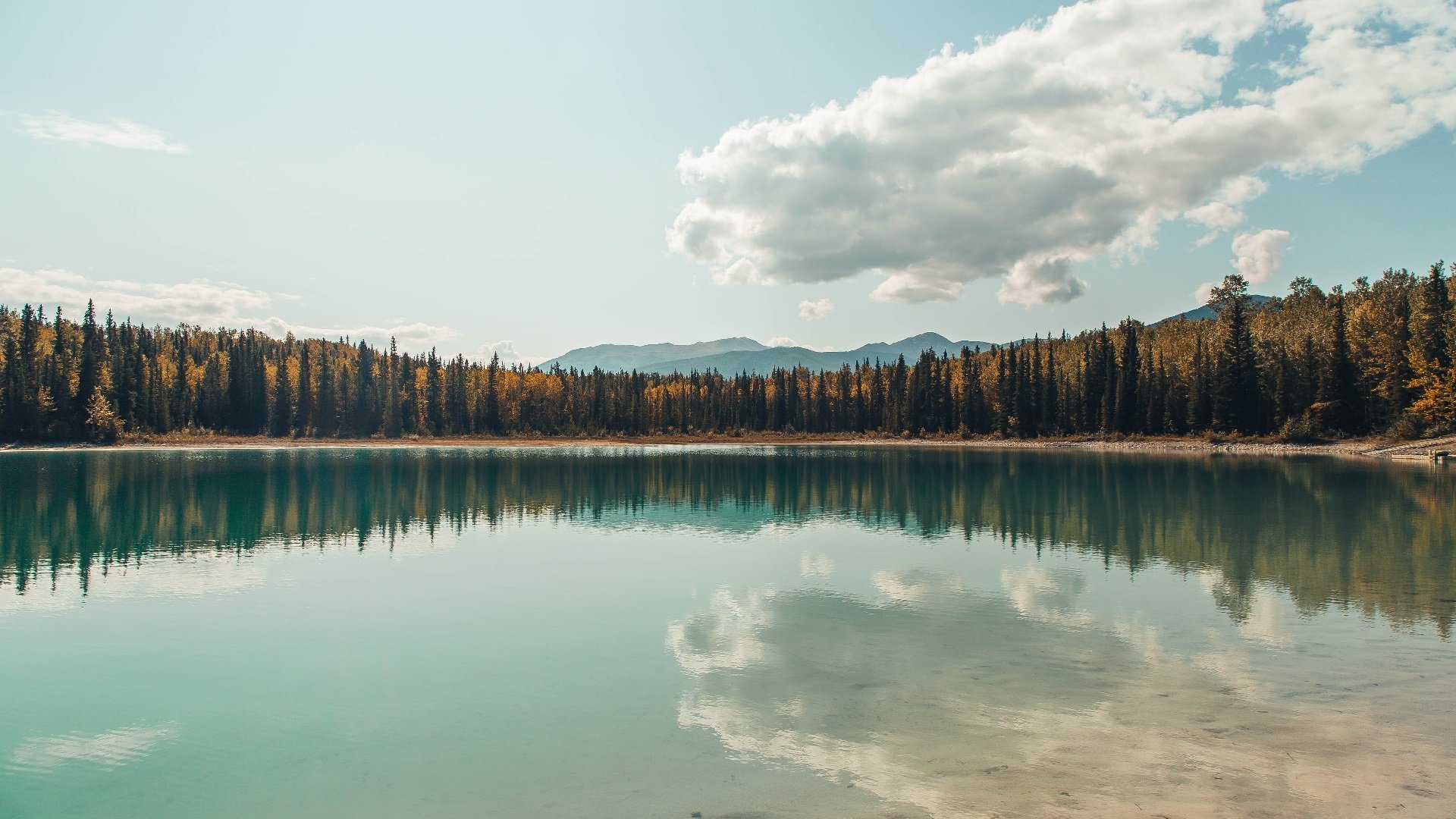 im体育官方平台-日本骑手佐藤健一在2024年东京国际障碍赛中以“飞翔之星”马匹获得冠军,感人至深。