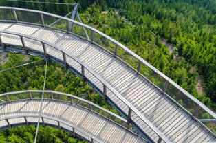 im体育电脑版-“飞盘:三叉湖赛场飞扬,速度与技巧成就精彩”